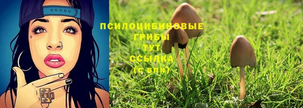 экстази Пересвет
