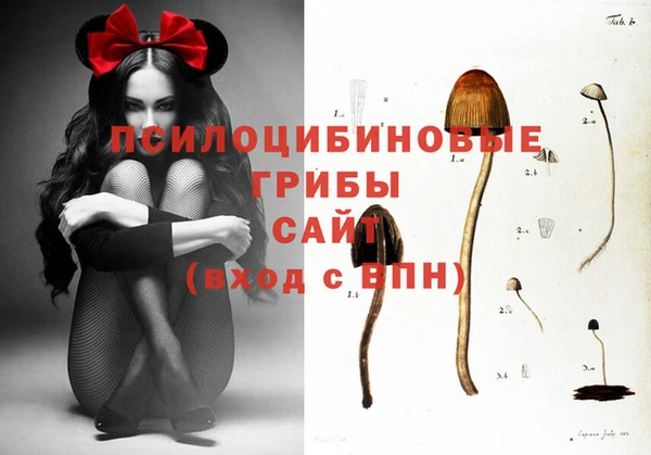 прущая мука Богданович